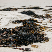 Load image into Gallery viewer, Sea Salt