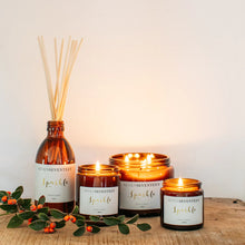 Load image into Gallery viewer, Sparkle / Winter Spice š¤