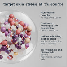Load image into Gallery viewer, multivitamin power recovery cream
stressed skin, solved
