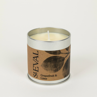 Load image into Gallery viewer, Grapefruit &amp; Lime Scented Tin Candle
