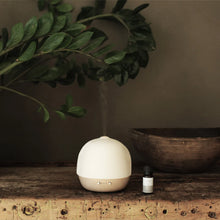 Load image into Gallery viewer, ELA LIFE ELECTRIC AROMATHERAPY DIFFUSER LAMP
