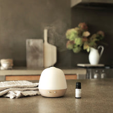 Load image into Gallery viewer, ELA LIFE ELECTRIC AROMATHERAPY DIFFUSER LAMP
